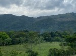 136061-image1