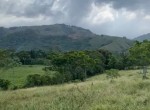 136061-image2