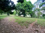 136061-image4