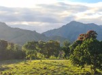 136217-image0