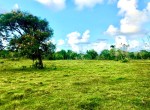 137434-rufino_pic_2