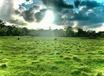 137434-rufino_pic_5