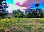 137434-rufino_pic_8
