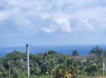 140553-whatsapp_image_2023_07_29_at_11.08.17_am__2_
