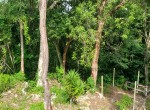 143580-eric_land_4