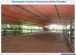 144916-img_0908