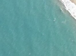 146780-screen_shot_2024_09_17_at_3.03.26_pm