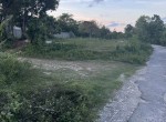 147080-img_4222