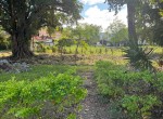 147989-whatsapp_image_2025_01_23_at_13.27.19__2_