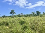 149770-img_0200