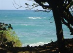 82704-1177_8oceanfrontlandlandforsaledominicanrepublicrealestatedominicanrepubliccustom