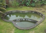 87097-_pool