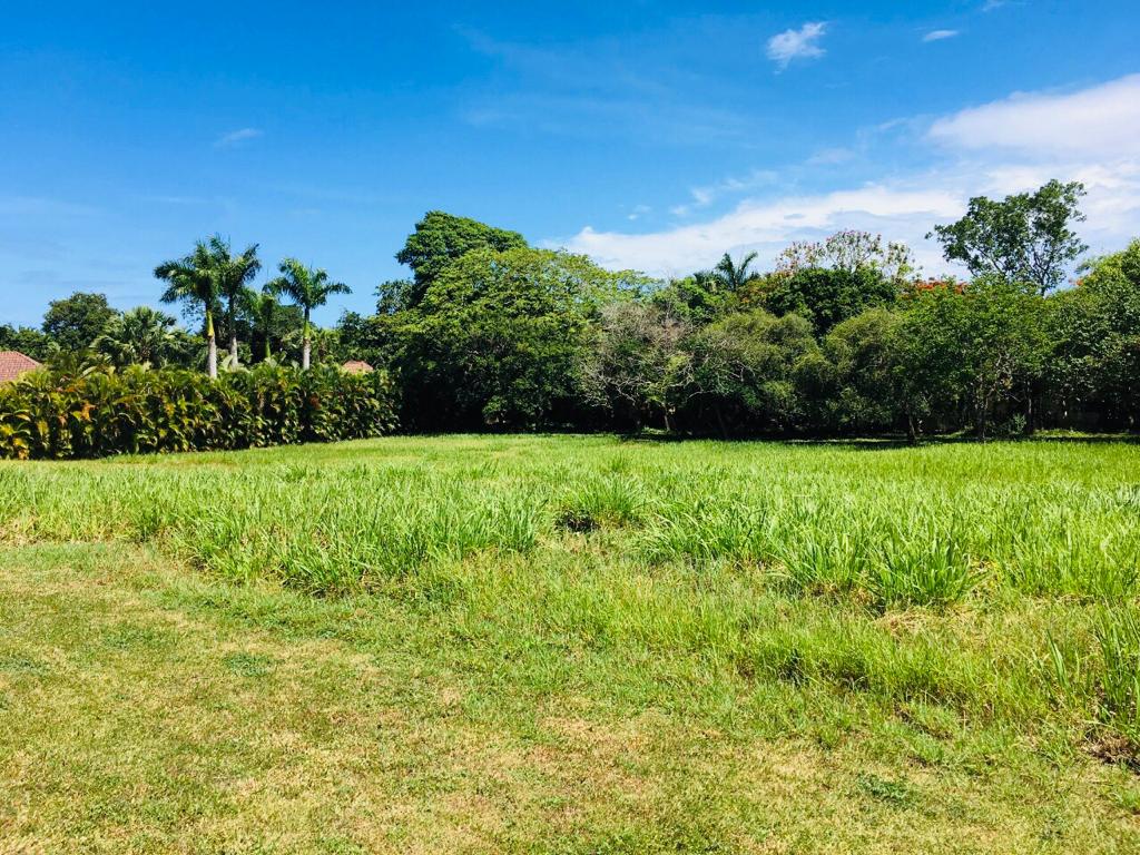 Residential lots for sale in luxury community in Cabarete - photo 2