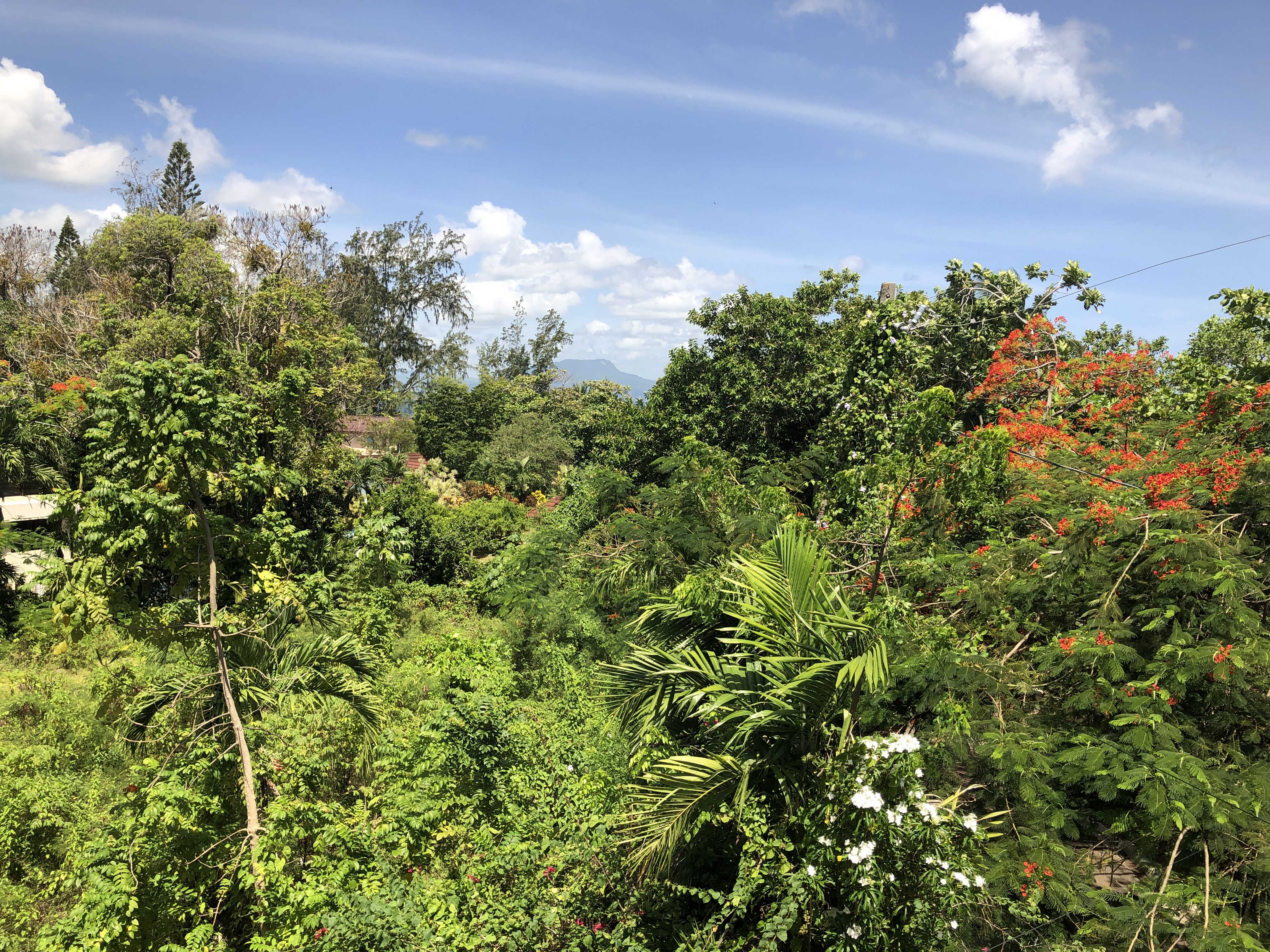 Spacious Deluxe Penthouse for sale in Sosua with oceanview - photo 6