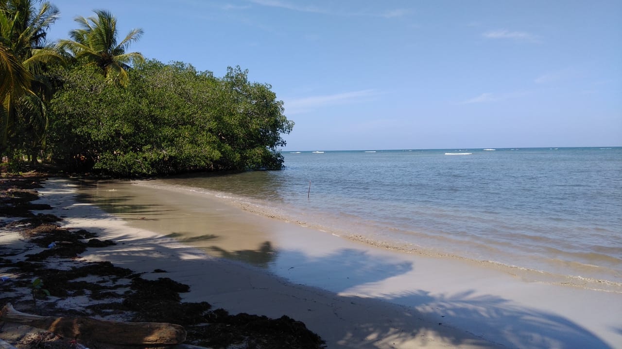 Unique Opportunity on Large Beachfront Land near Las Terrenas for Sale - photo 2