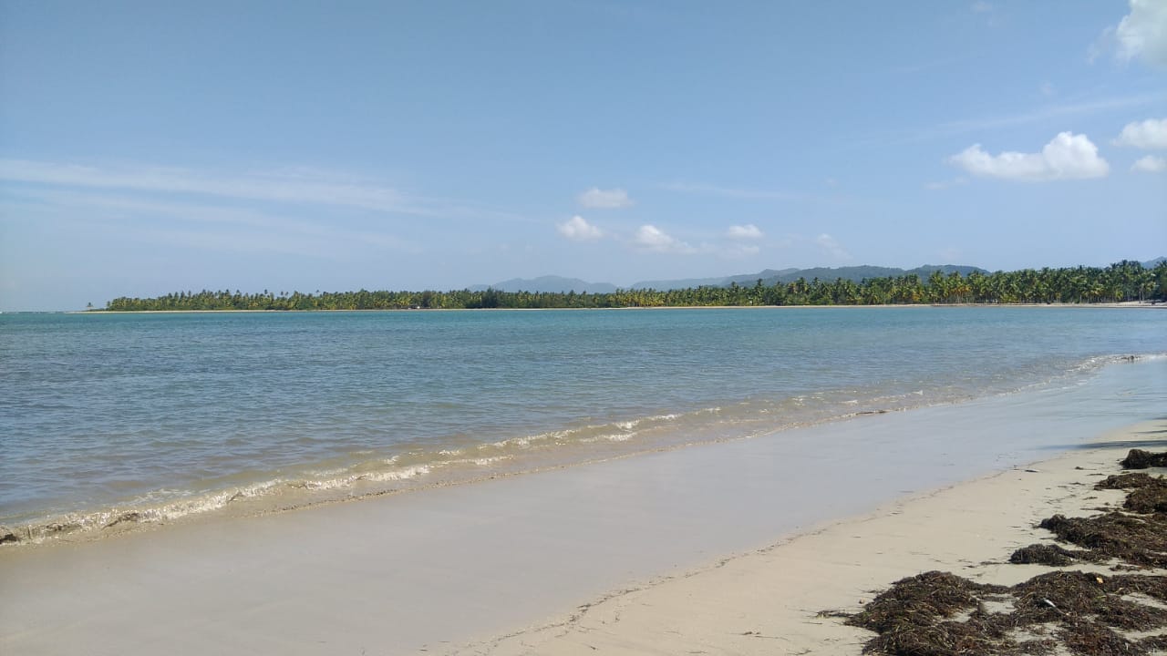 Unique Opportunity on Large Beachfront Land near Las Terrenas for Sale - photo 4