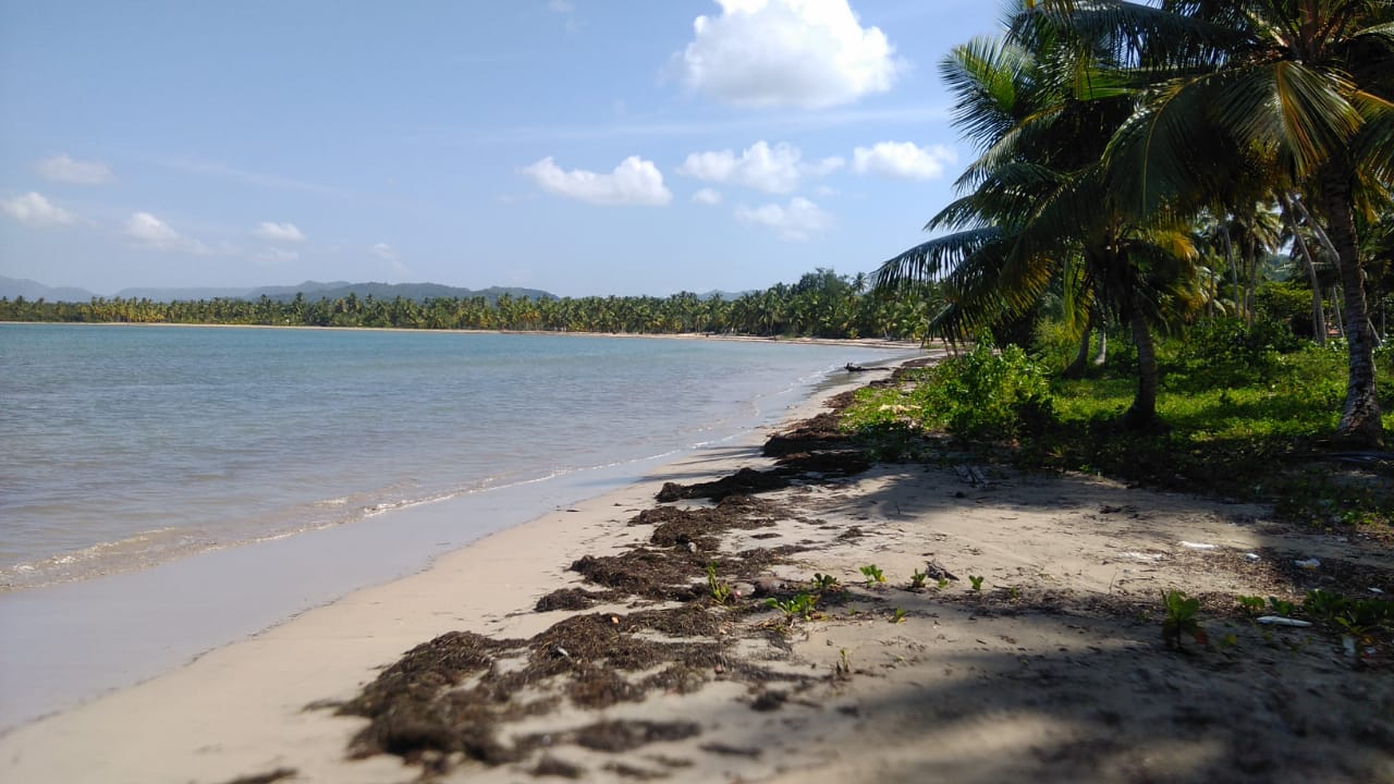 Unique Opportunity on Large Beachfront Land near Las Terrenas for Sale - photo 5