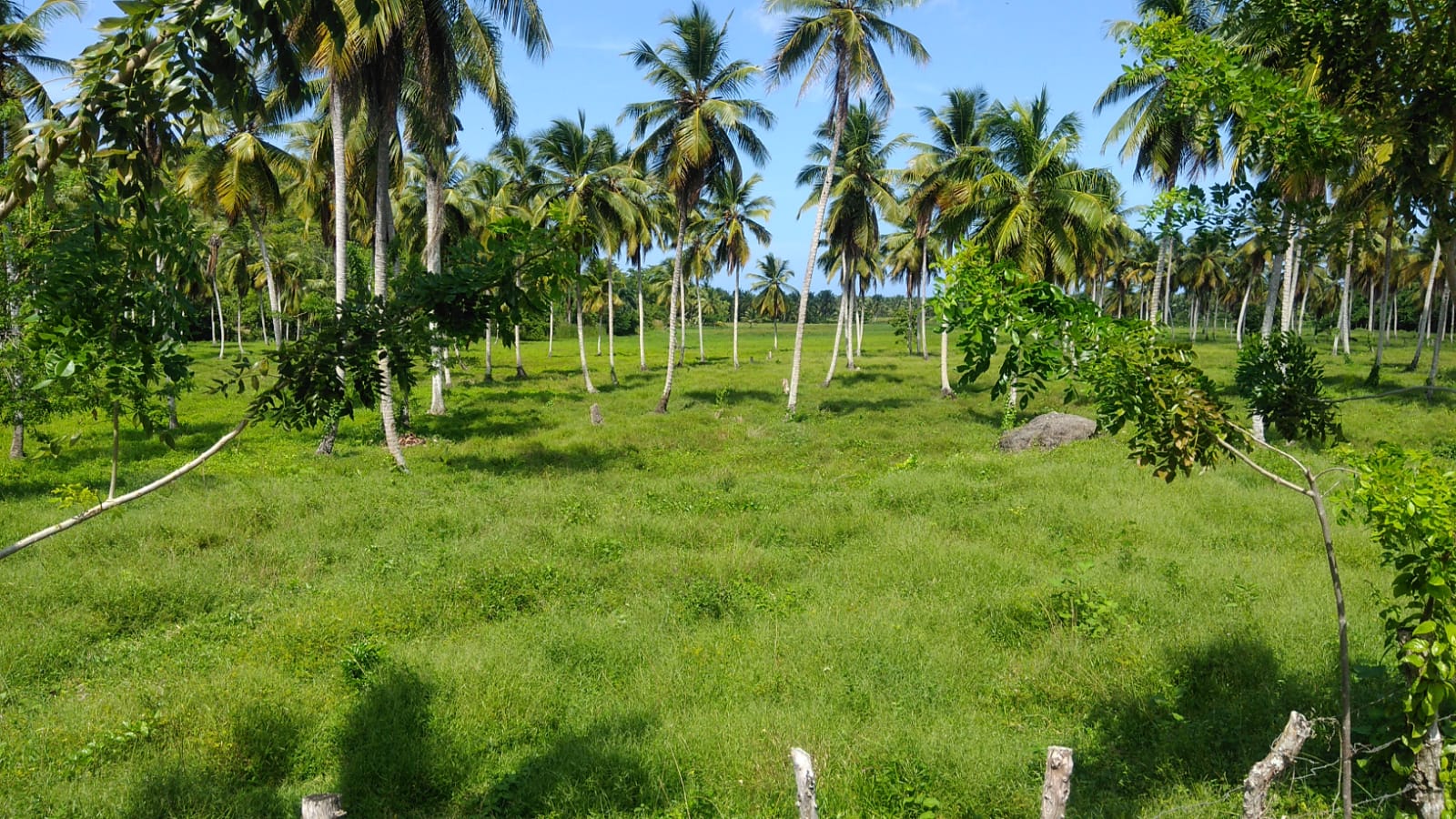 Unique Opportunity Land starting at $125 x m2 near Las Terrenas for Sale - photo 2