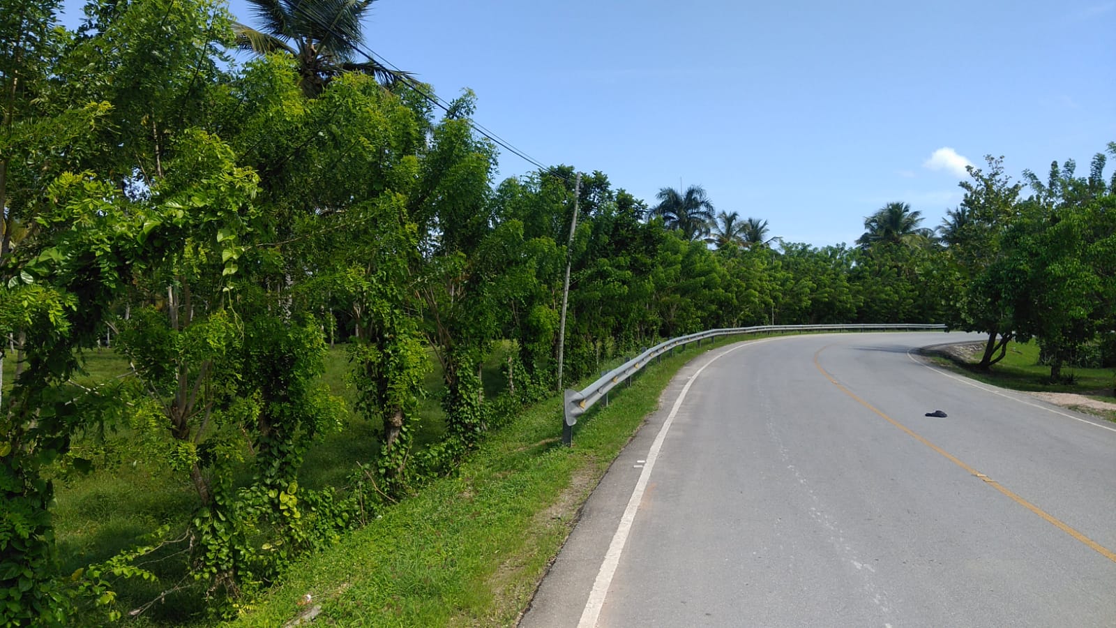 Unique Opportunity Land starting at $125 x m2 near Las Terrenas for Sale - photo 3