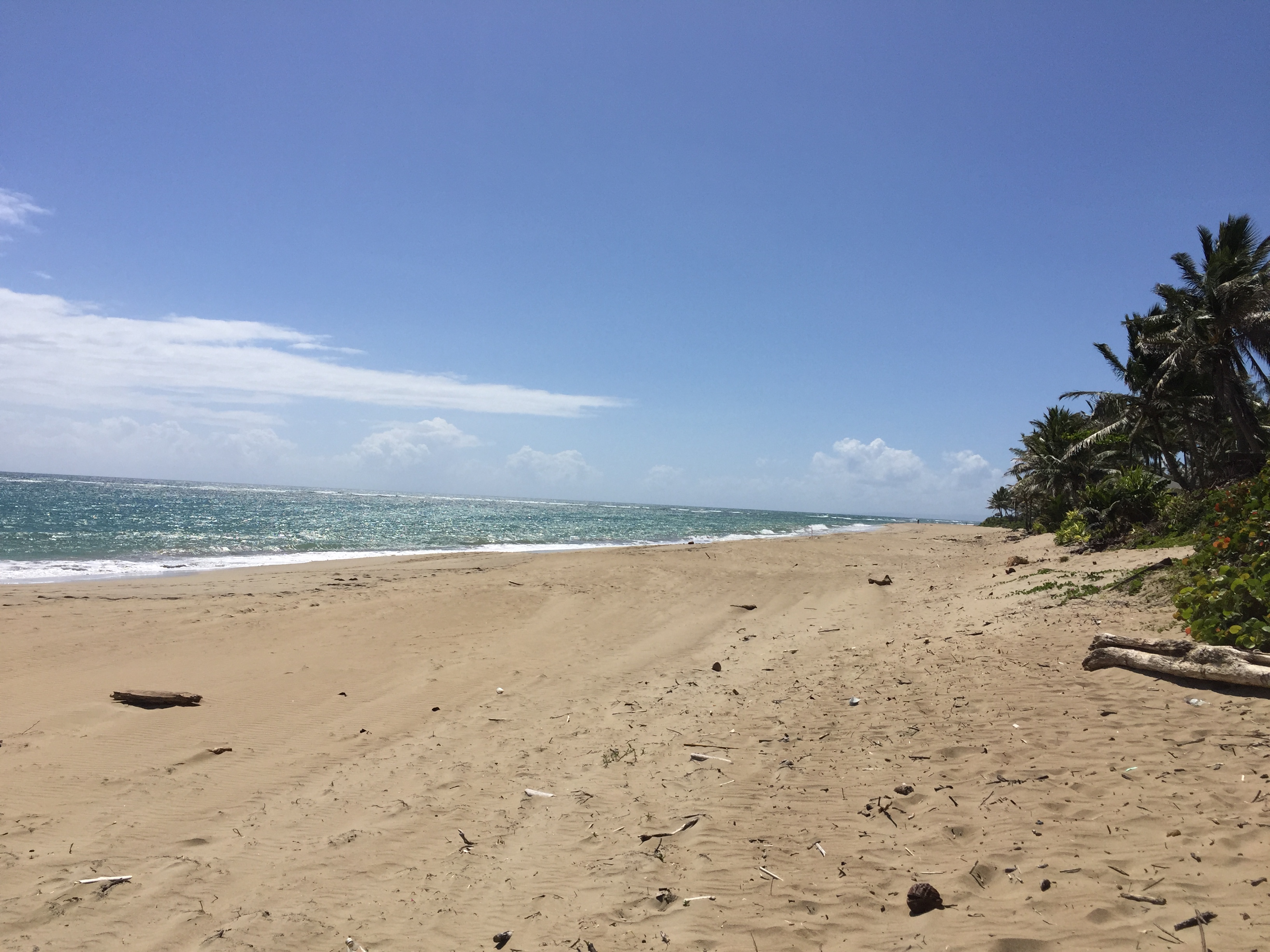 Beautiful Beachfront Land near the Center of Cabarete - photo 3