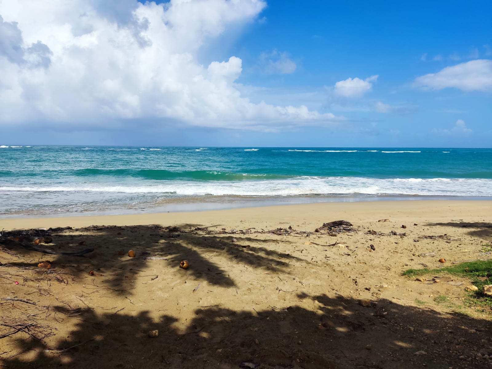 Beautiful Beachfront Land near the Center of Cabarete - photo 2