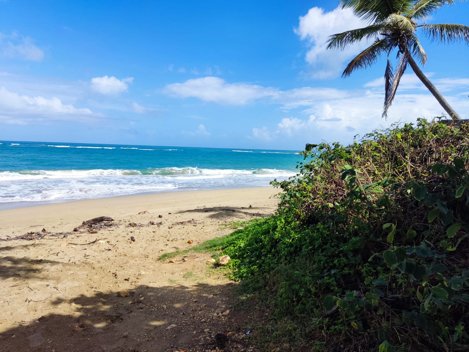 Beautiful Beachfront Land near the Center of Cabarete - photo 4