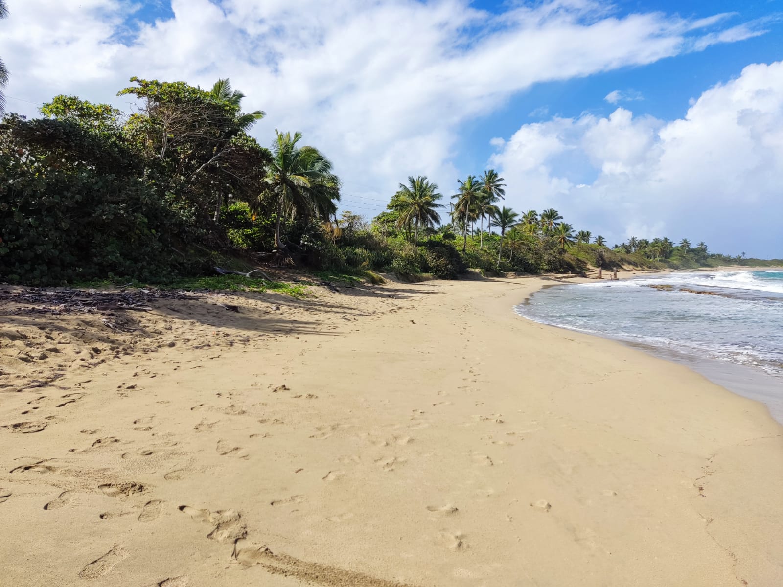 Beautiful Beachfront Land near the Center of Cabarete - photo 5