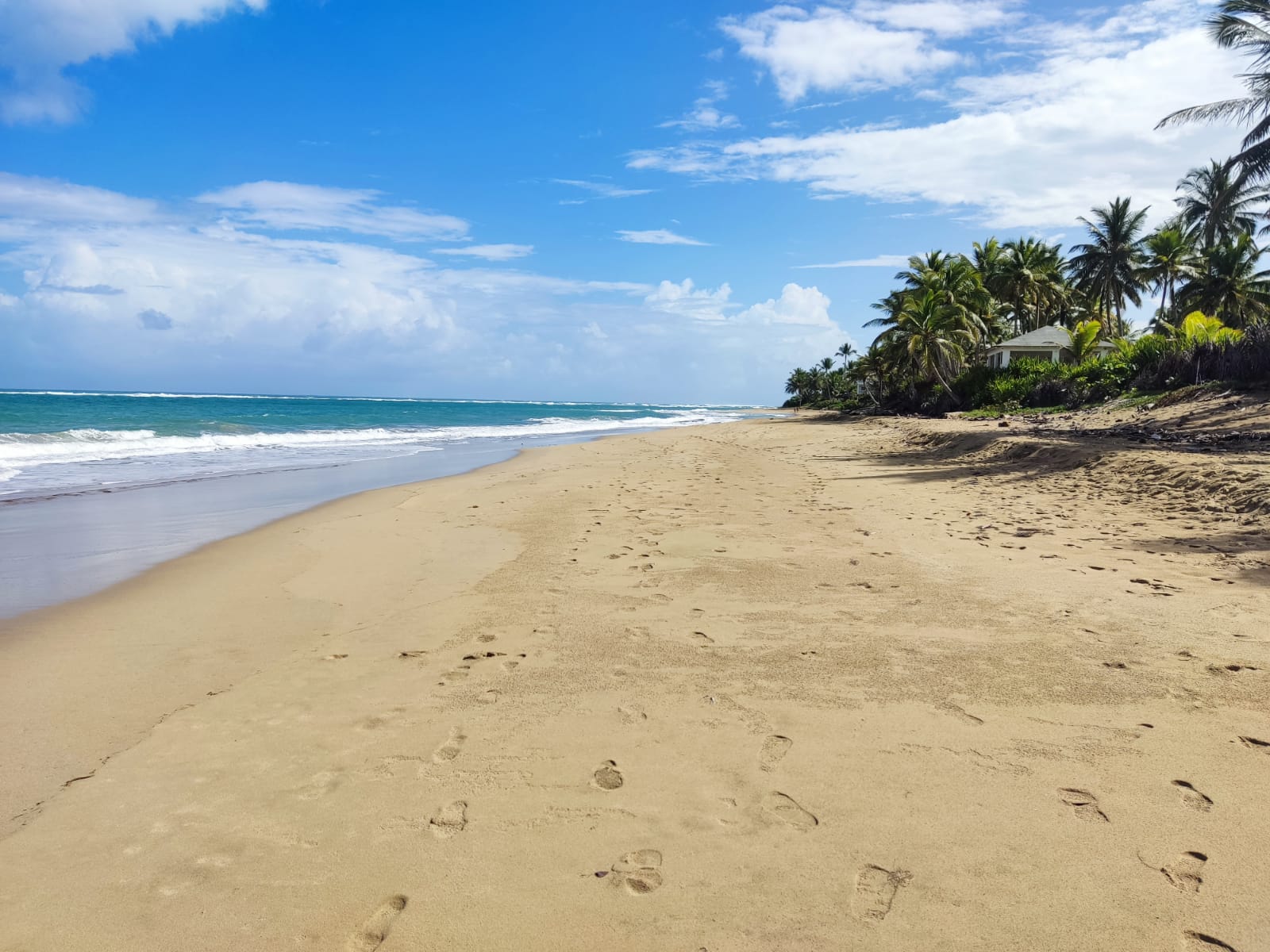 Beautiful Beachfront Land near the Center of Cabarete - photo 1