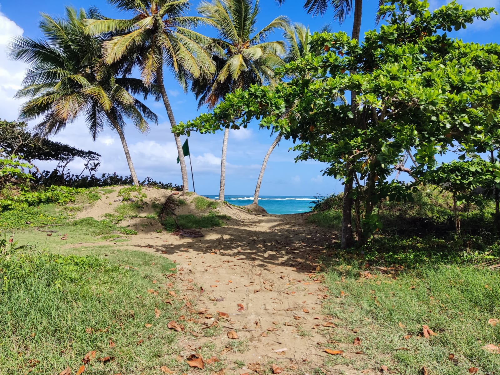Beautiful Beachfront Land near the Center of Cabarete - photo 6