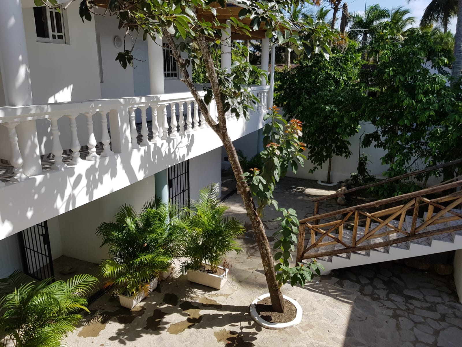 Residential with nine Studios and Penthouse for Sale in Cabarete - photo 3
