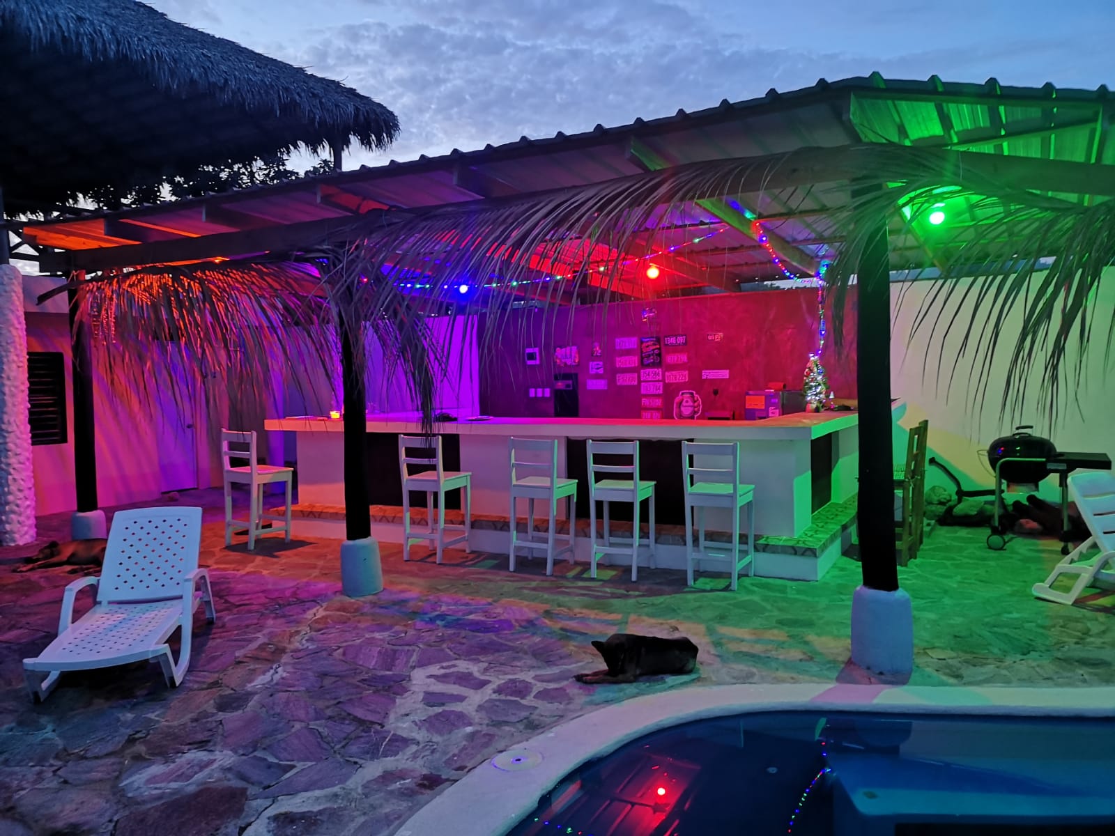 Residential with nine Studios and Penthouse for Sale in Cabarete - photo 6