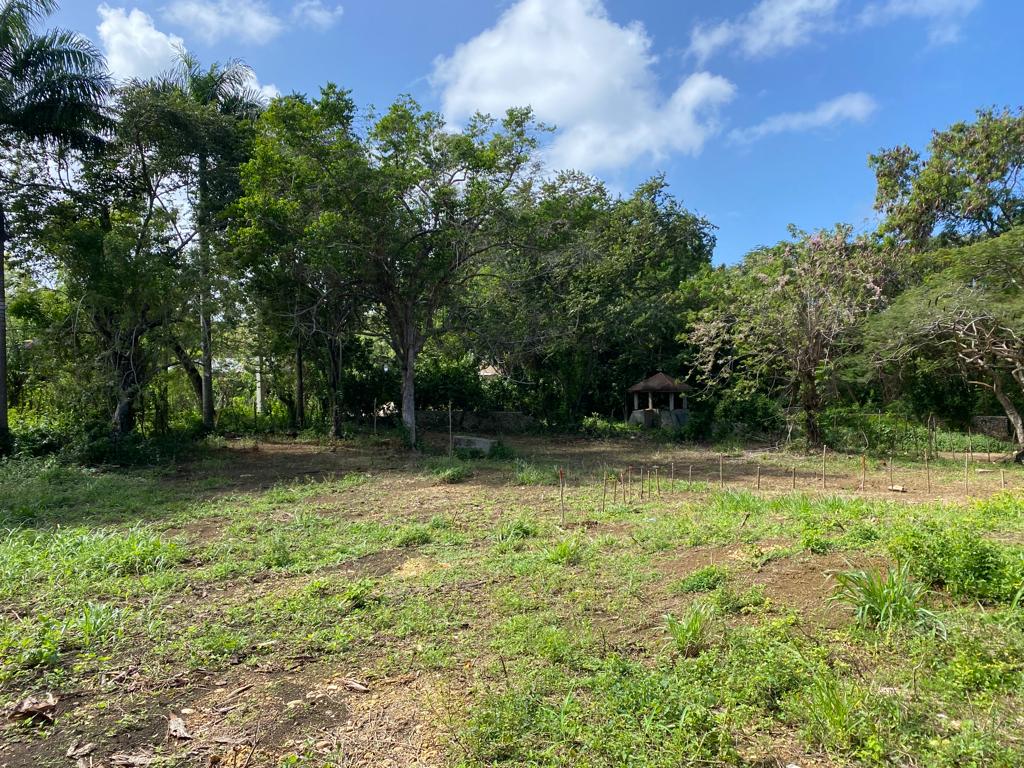 La Mulata Gated Community Lots - photo 1