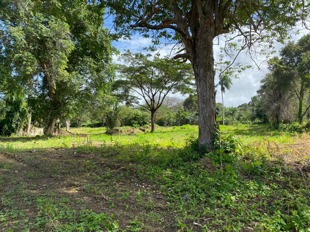 La Mulata Gated Community Lots - photo 2