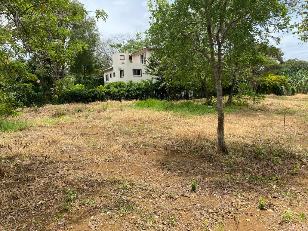 La Mulata Gated Community Lots - photo 4