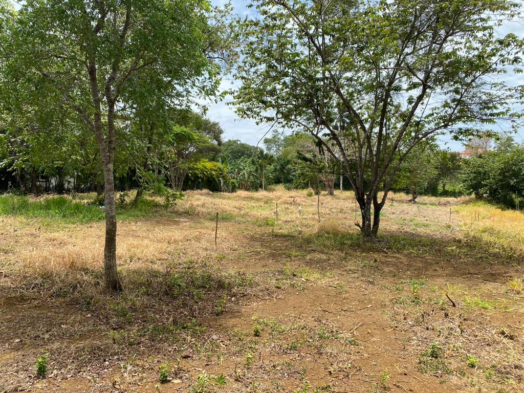 La Mulata Gated Community Lots - photo 6