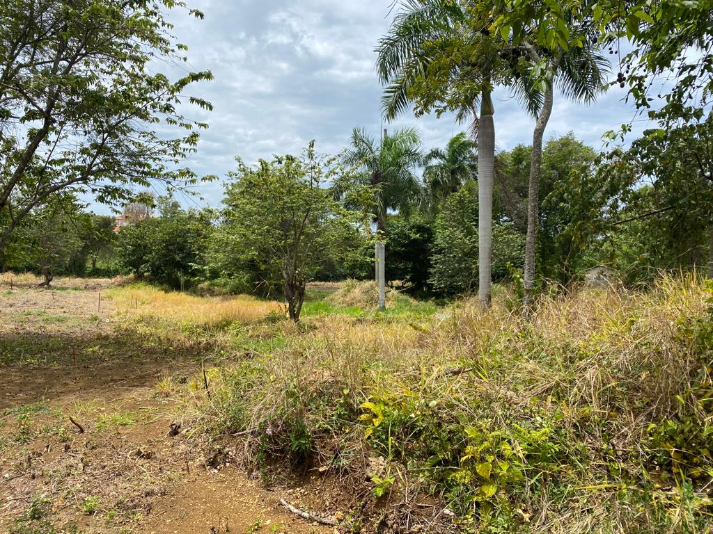 La Mulata Gated Community Lots - photo 5
