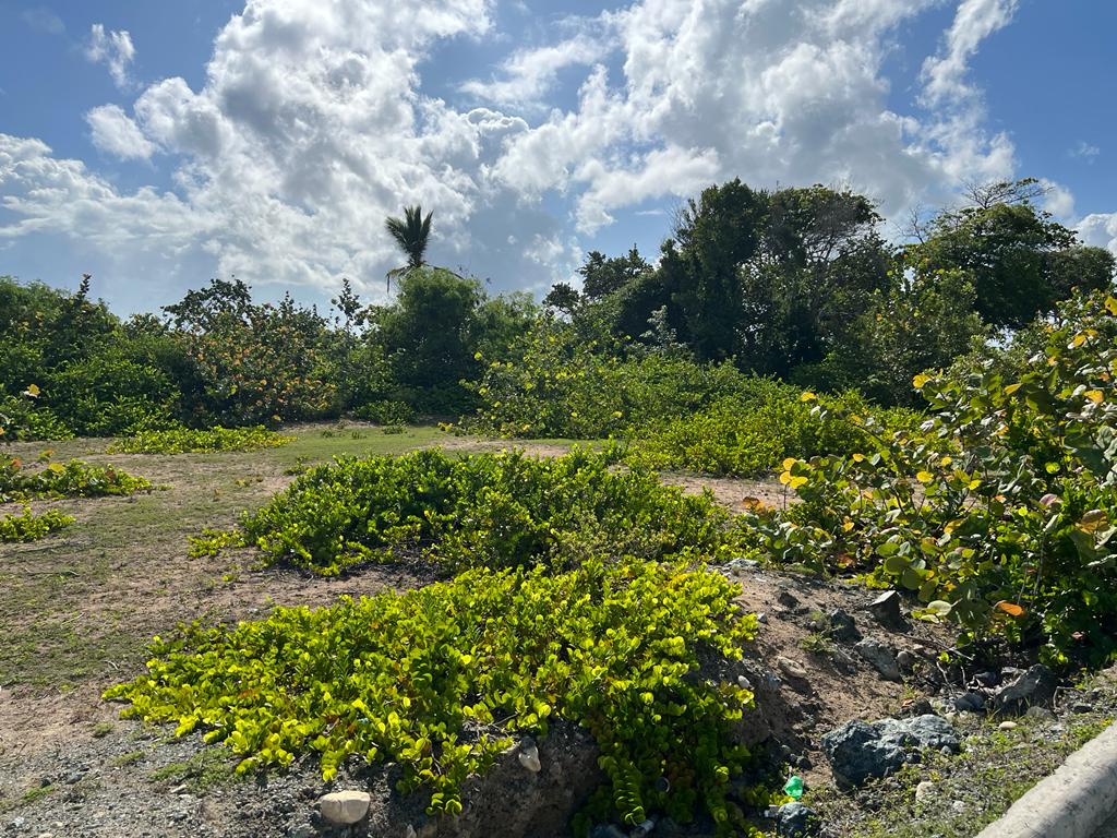 Unique Beachfront Oportunity in Puerto Plata for Sale - photo 5