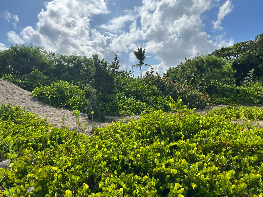Unique Beachfront Oportunity in Puerto Plata for Sale - photo 3