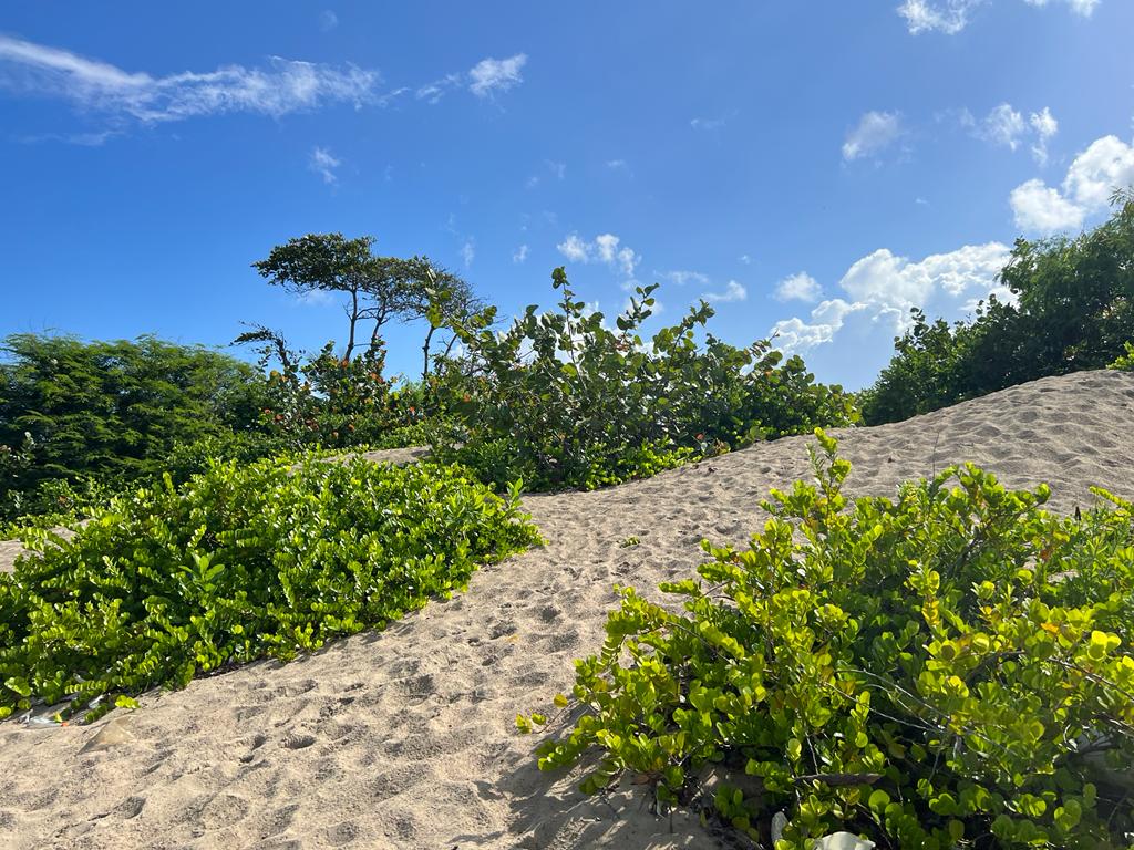 Unique Beachfront Oportunity in Puerto Plata for Sale - photo 4