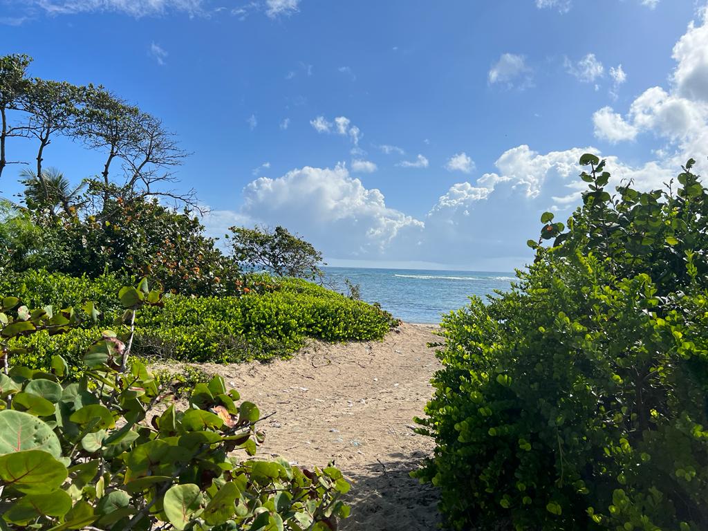 Unique Beachfront Oportunity in Puerto Plata for Sale - photo 1