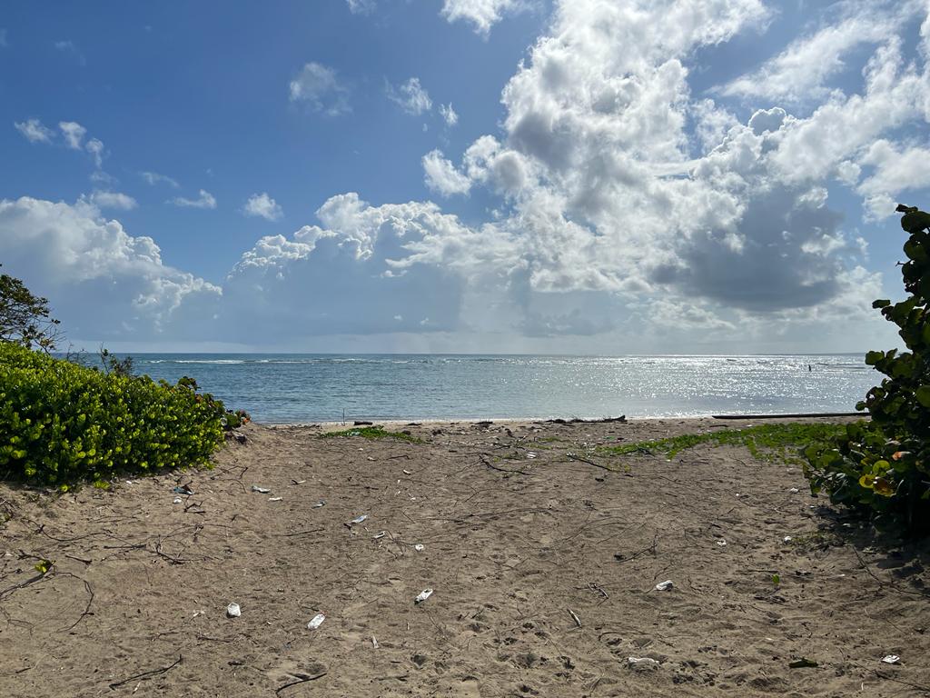 Unique Beachfront Oportunity in Puerto Plata for Sale - photo 2