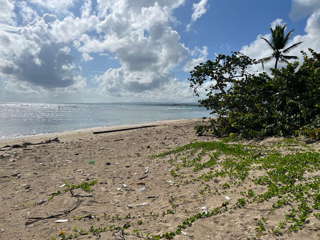 Unique Beachfront Oportunity in Puerto Plata for Sale - photo 6