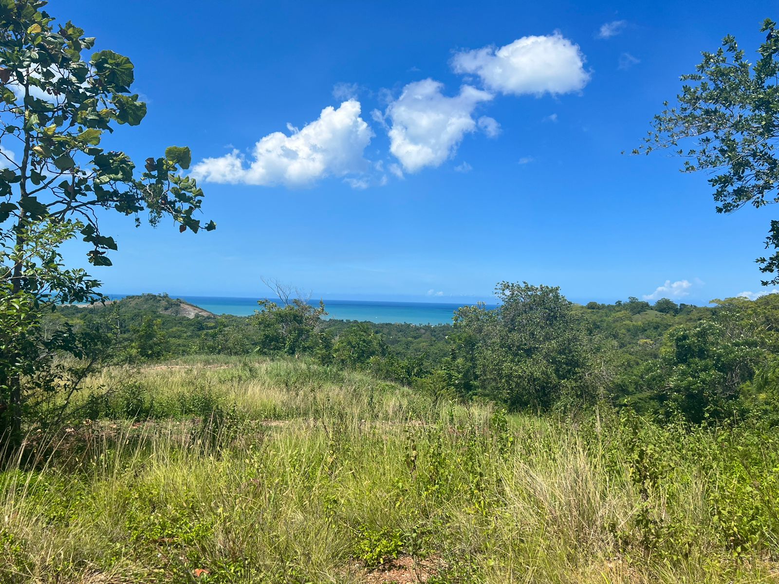 Lots with incomparable ocean view in Gaspar Hernandez for Sale - photo 5