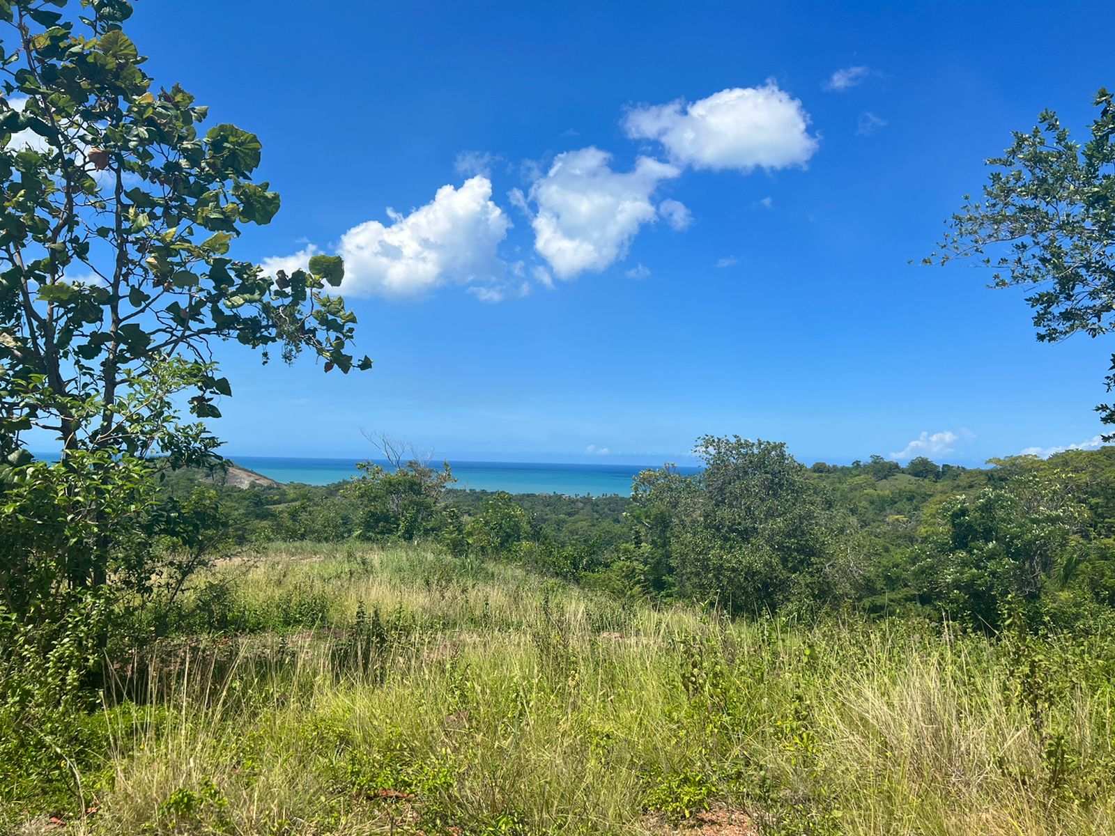 Lots with incomparable ocean view in Gaspar Hernandez for Sale - photo 4