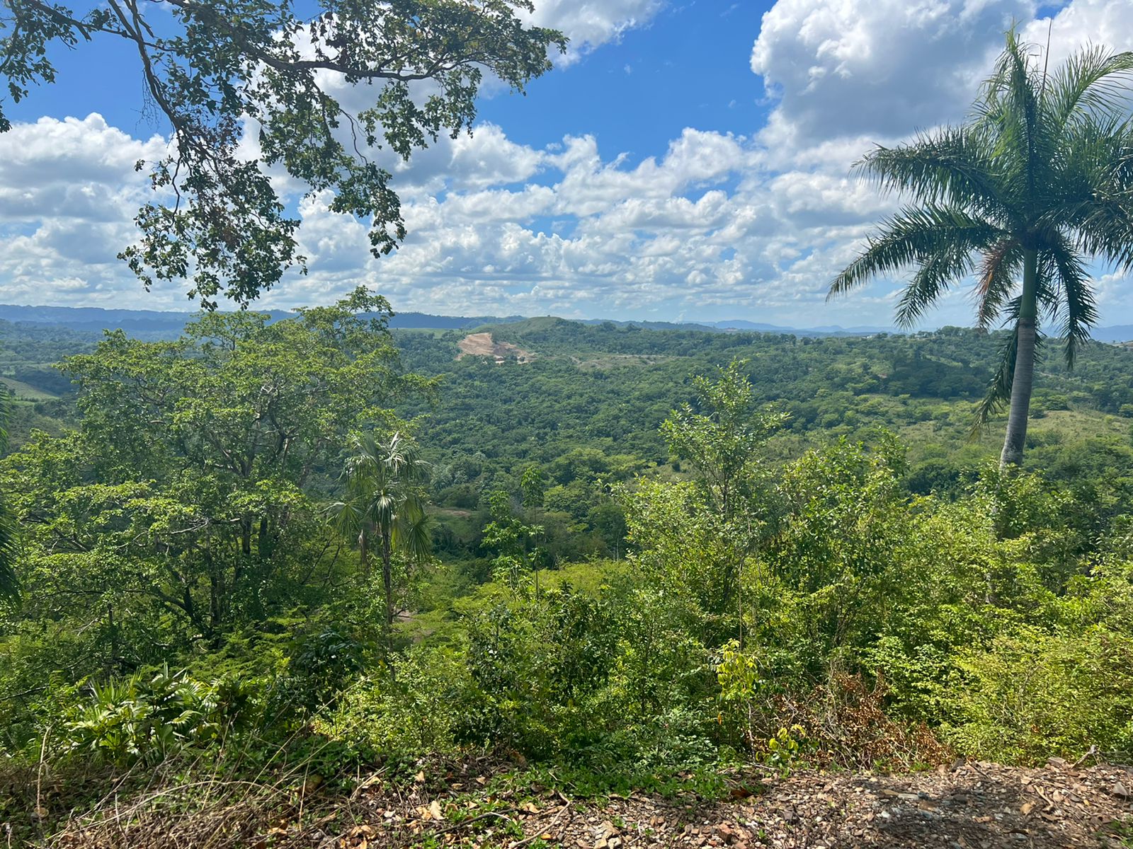 Lots with incomparable ocean view in Gaspar Hernandez for Sale - photo 6