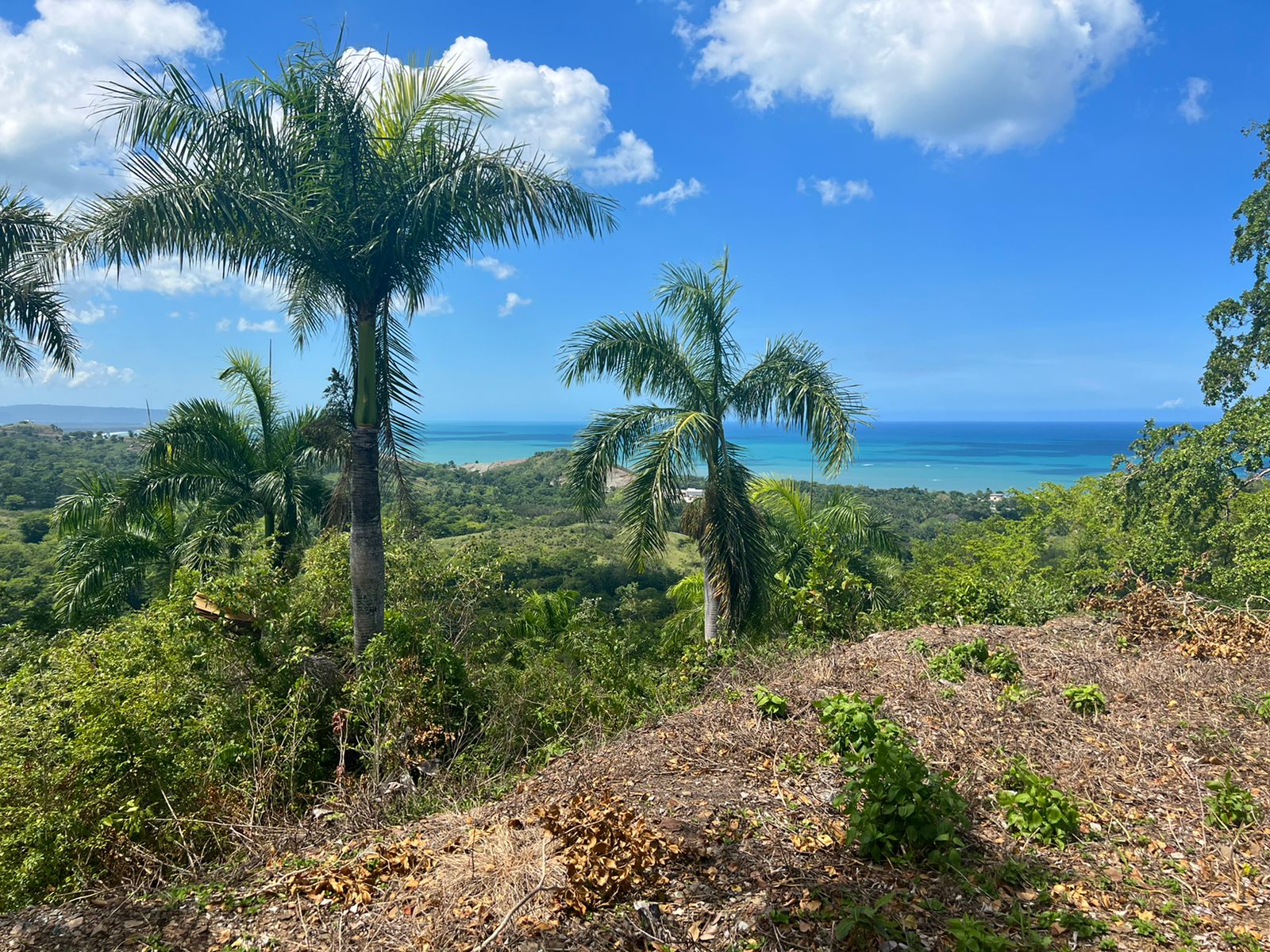 Lots with incomparable ocean view in Gaspar Hernandez for Sale - photo 2