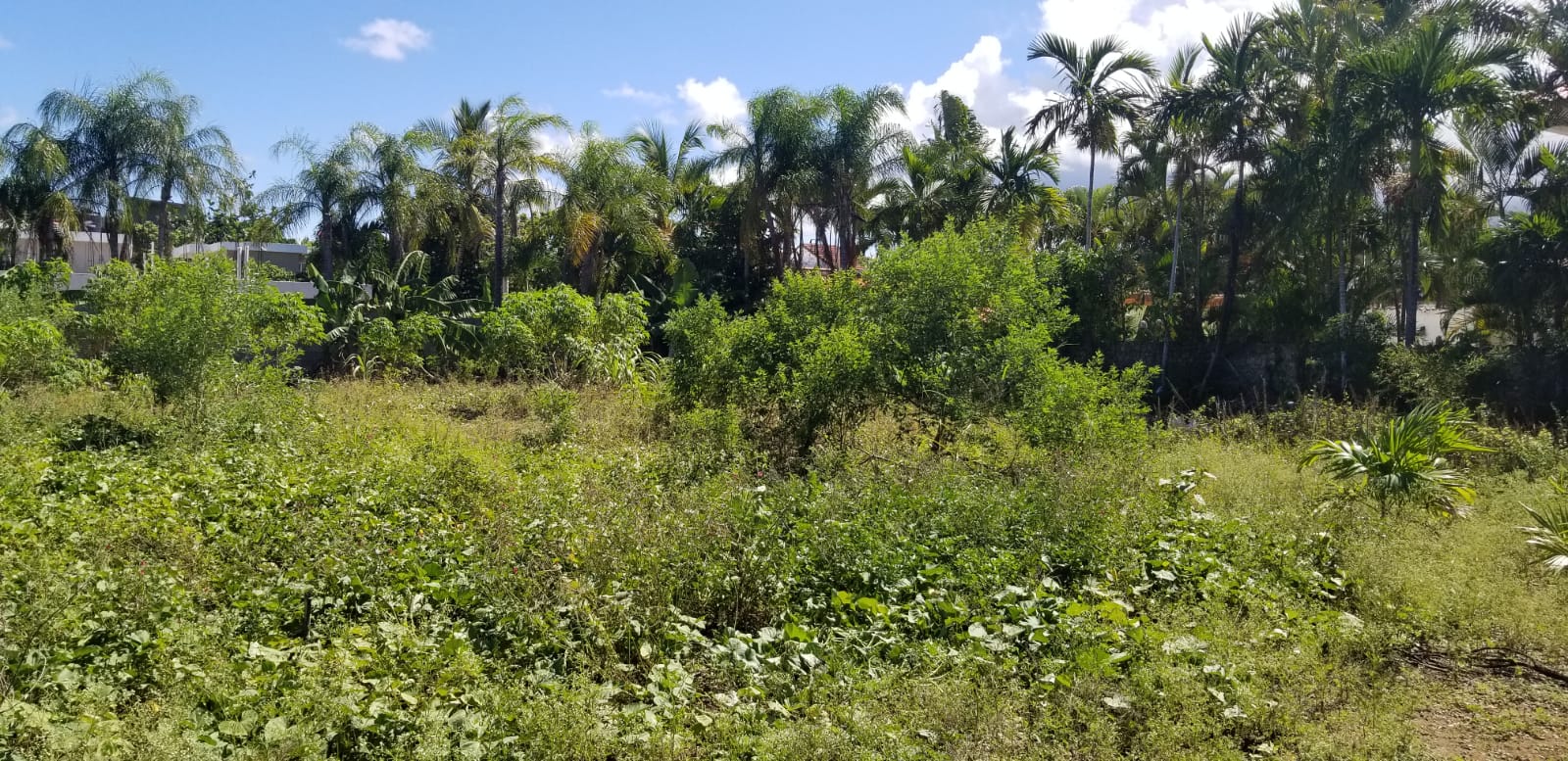 Exclusive Lot in Downtown Sosua for Sale - photo 1