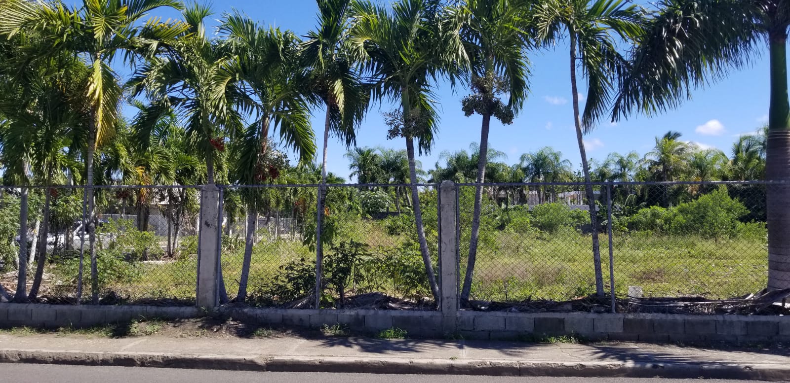 Exclusive Lot in Downtown Sosua for Sale - photo 2