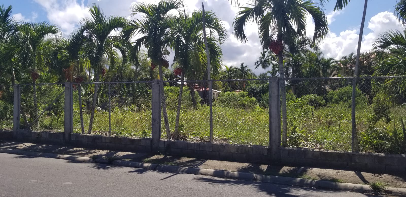 Exclusive Lot in Downtown Sosua for Sale - photo 4