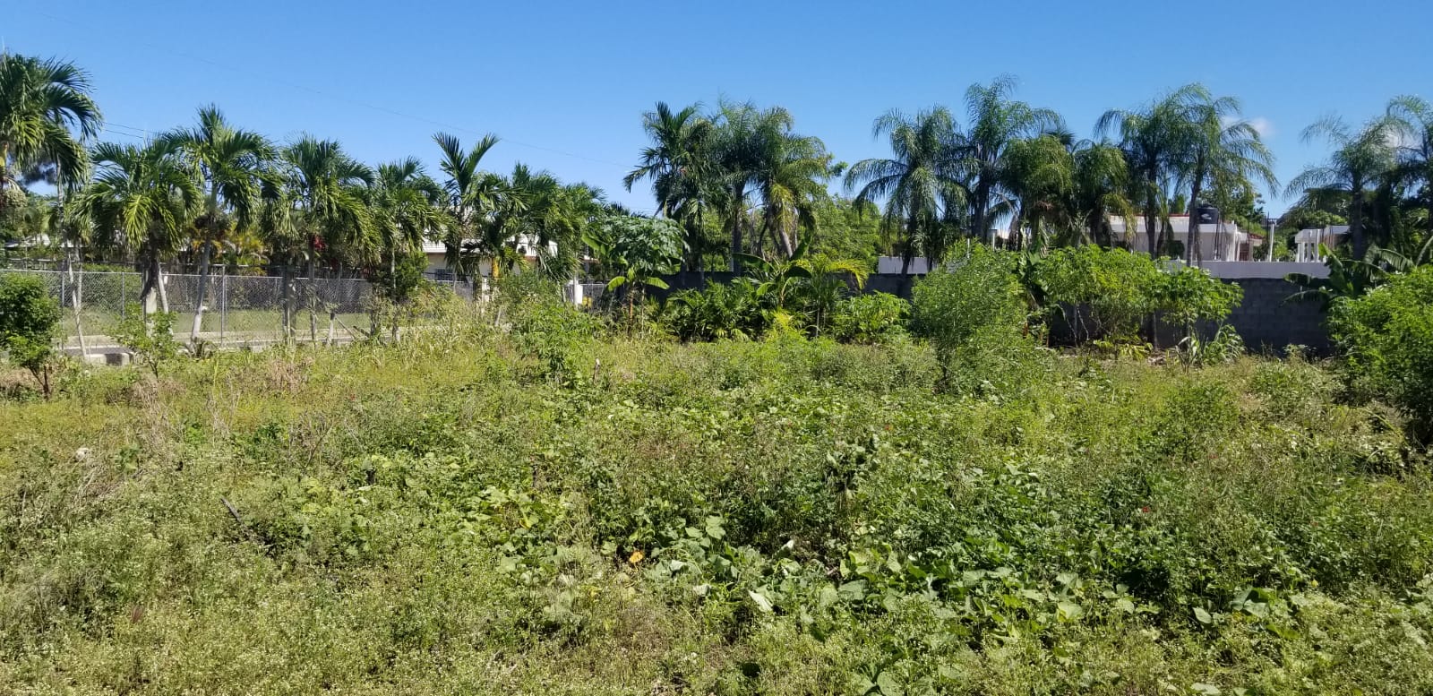 Exclusive Lot in Downtown Sosua for Sale - photo 5
